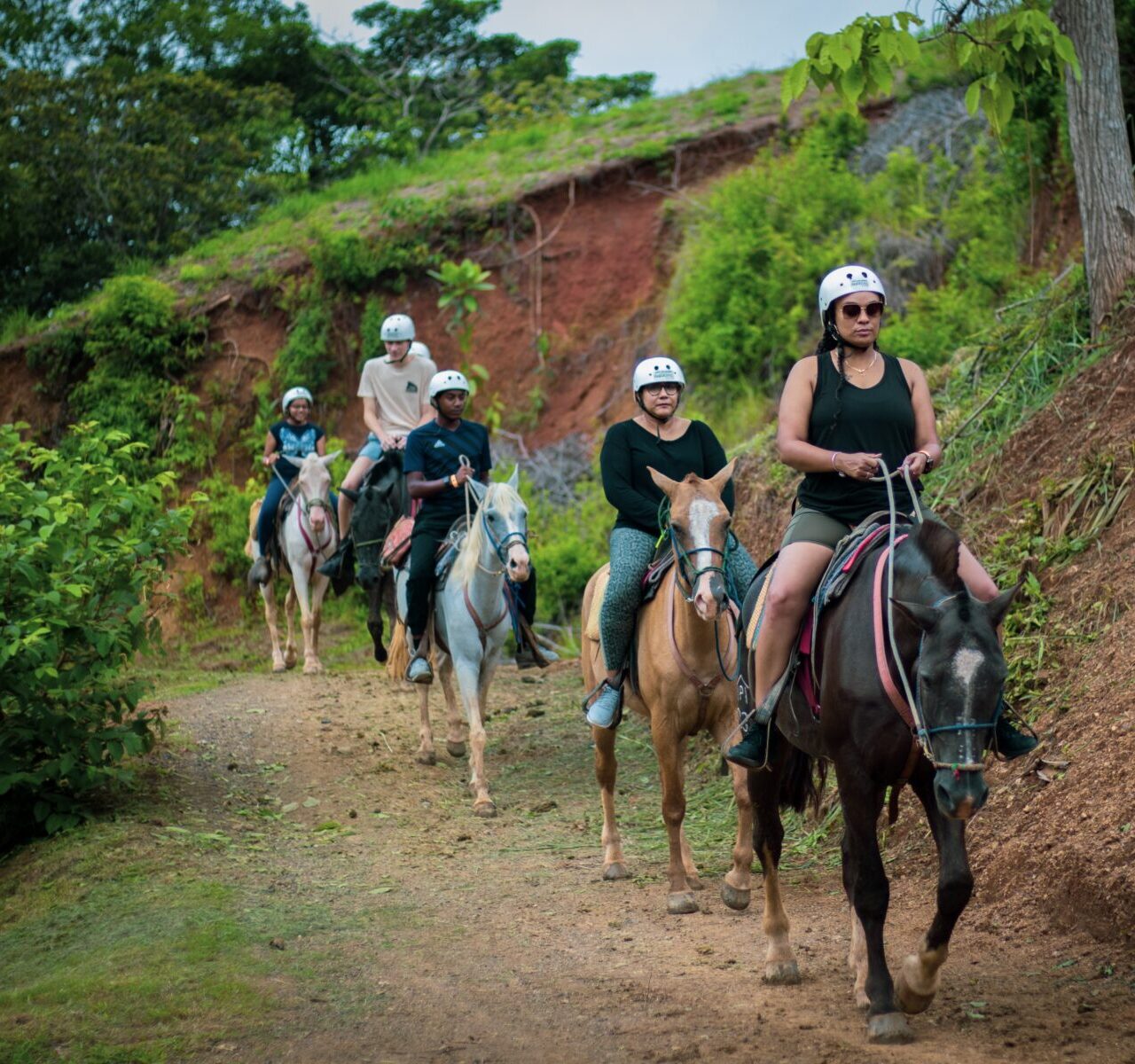 Horseback Riding & Chocolate Experience Shore Excursion from Caldera and Puntarenas