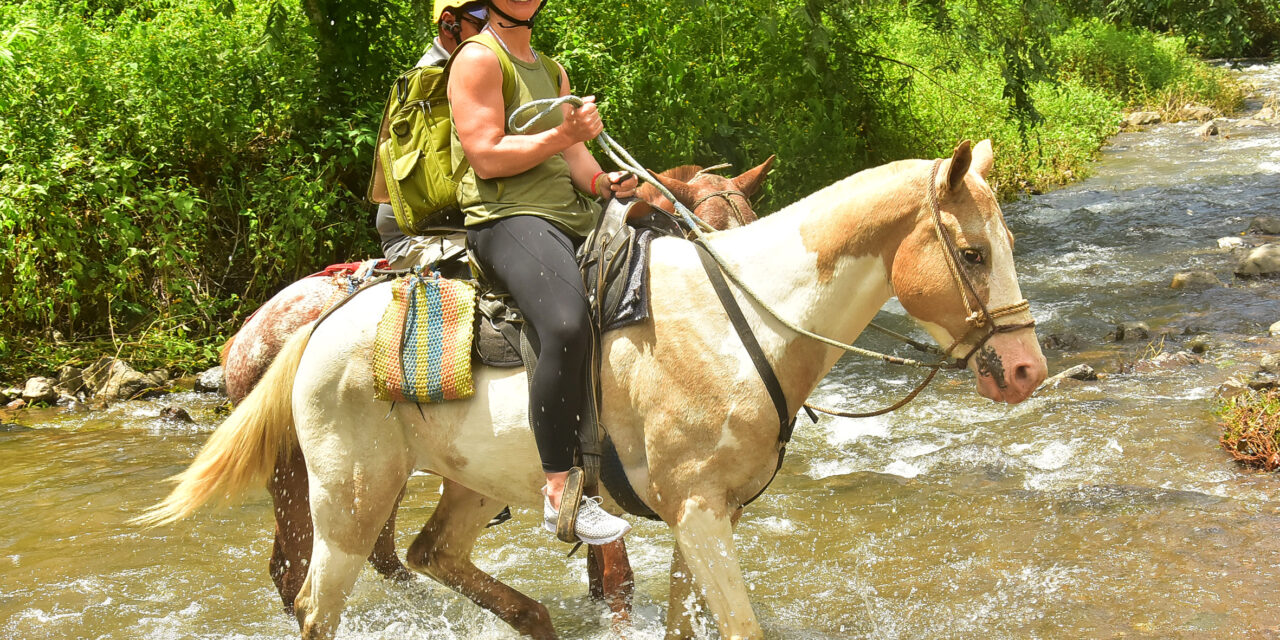 Zip Line + Horseback Riding + Natural Pool Combo