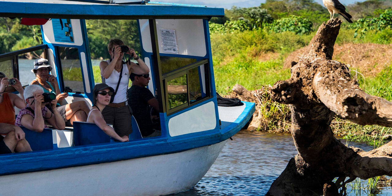 Crocodile Safari + ATV Tour Shore Excursion from Caldera and Puntarenas