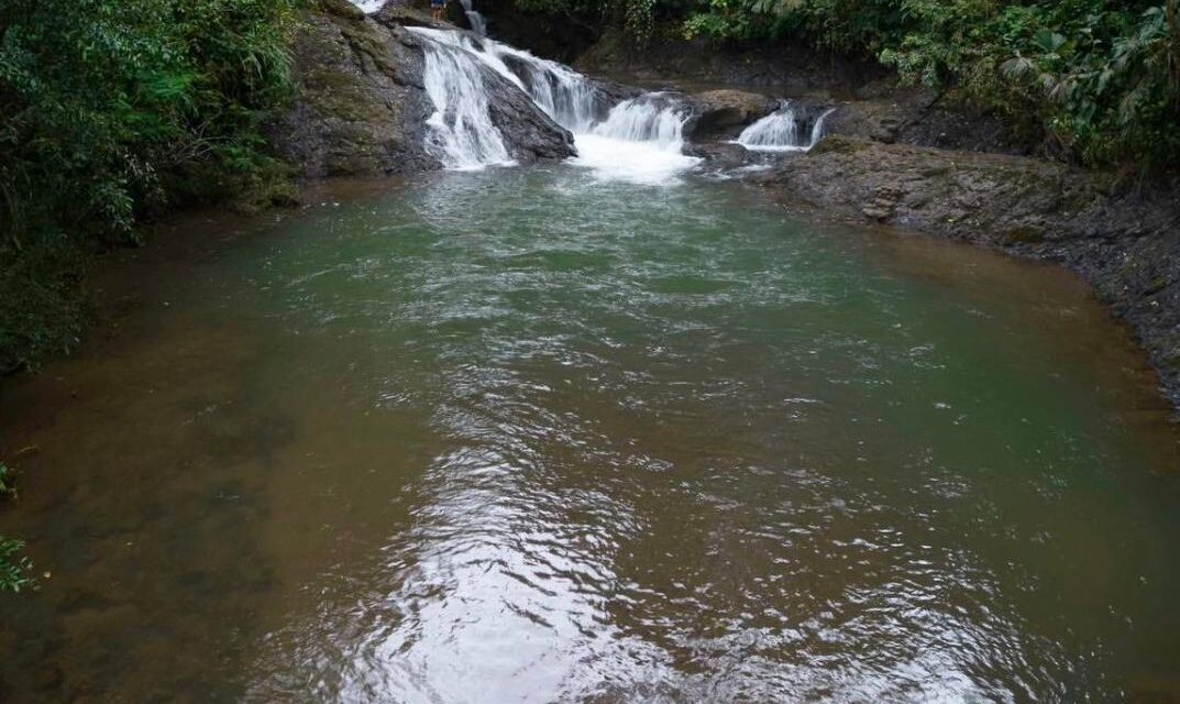 Horseback Riding + 3 Hour Double Buggy & Waterfalls Combo