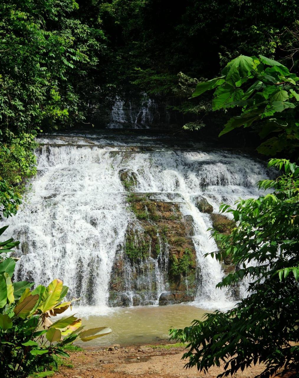 Full Day Buggy Tour - Jungle, Mountains & 3 Waterfalls